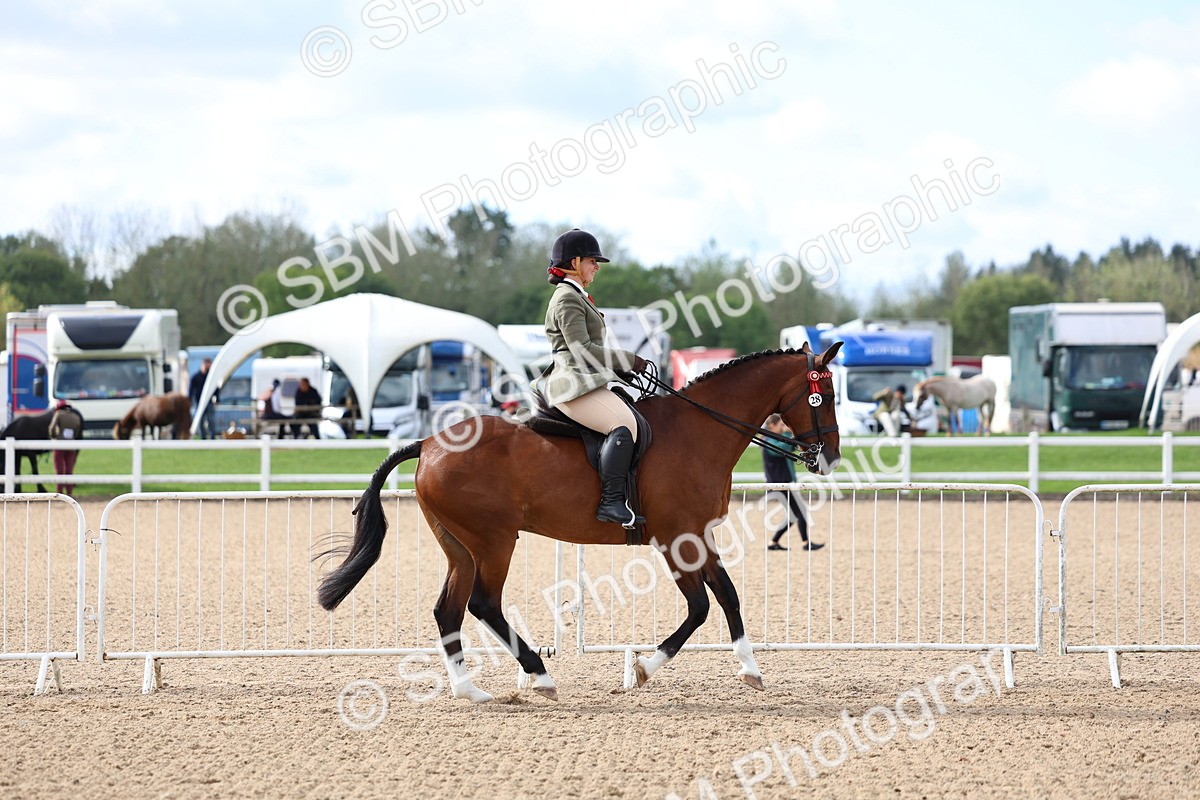 SBM_10047 - Class 304 - Ridden Part Bred Horse Pony