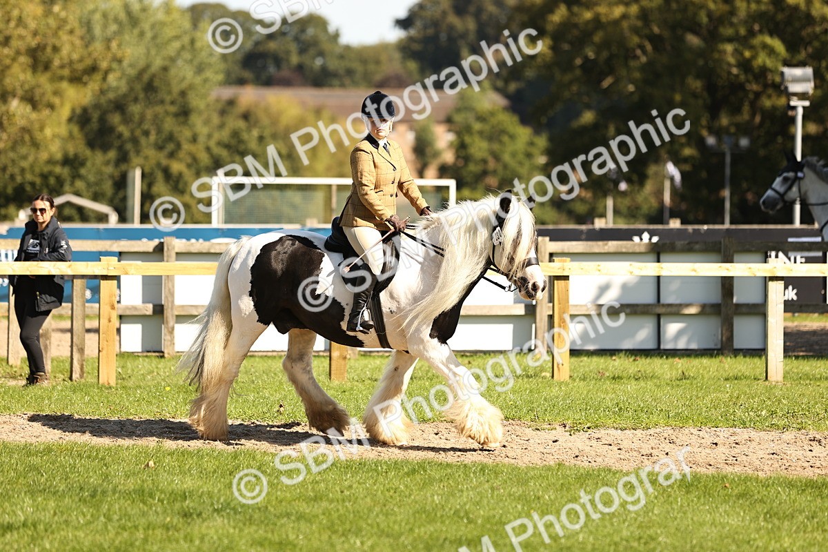 SBM_19144 - S3 - TSR Ridden Pony Showing