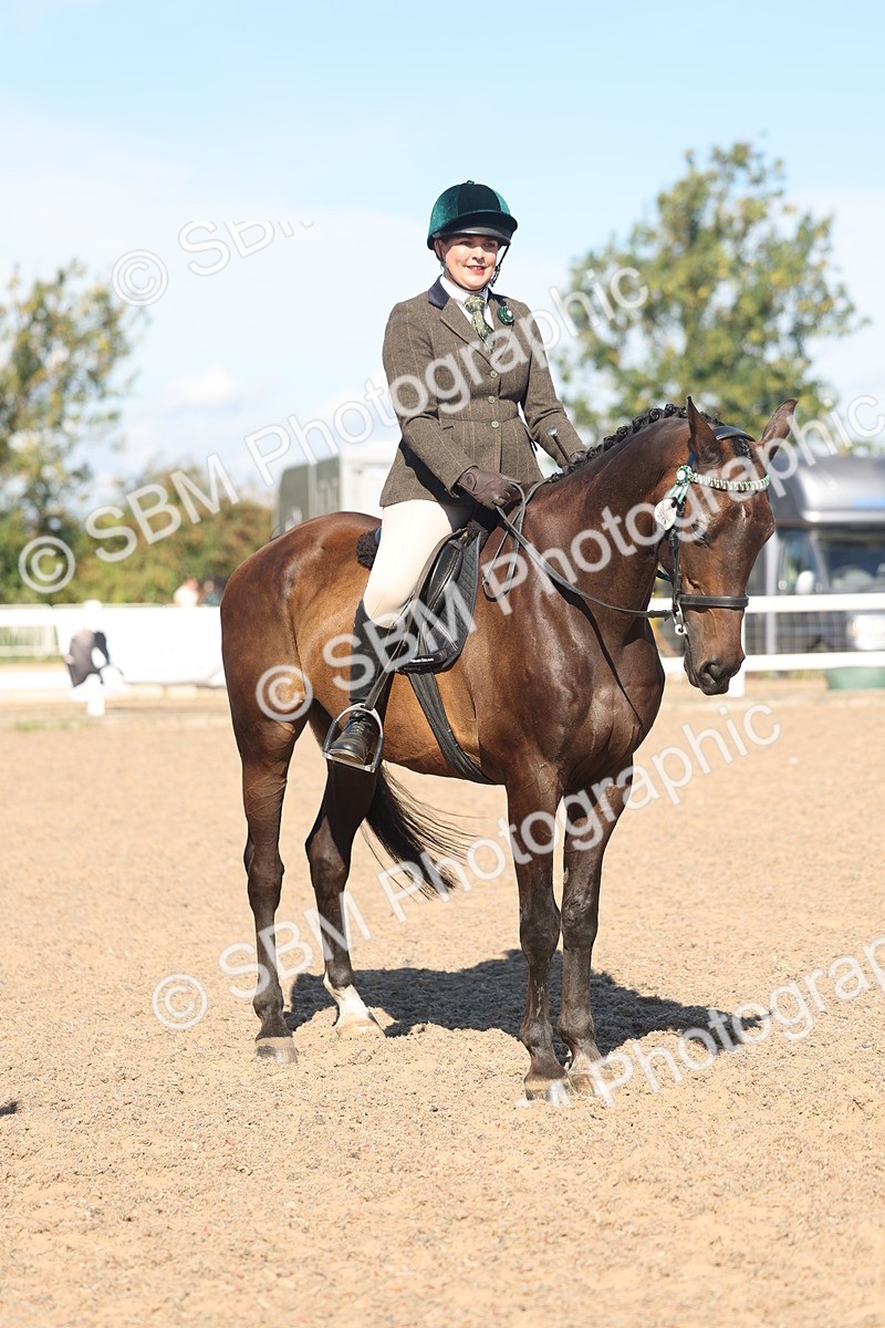 SBM_13069 - Class 305 - Ridden Foreign Breed Pure Bred