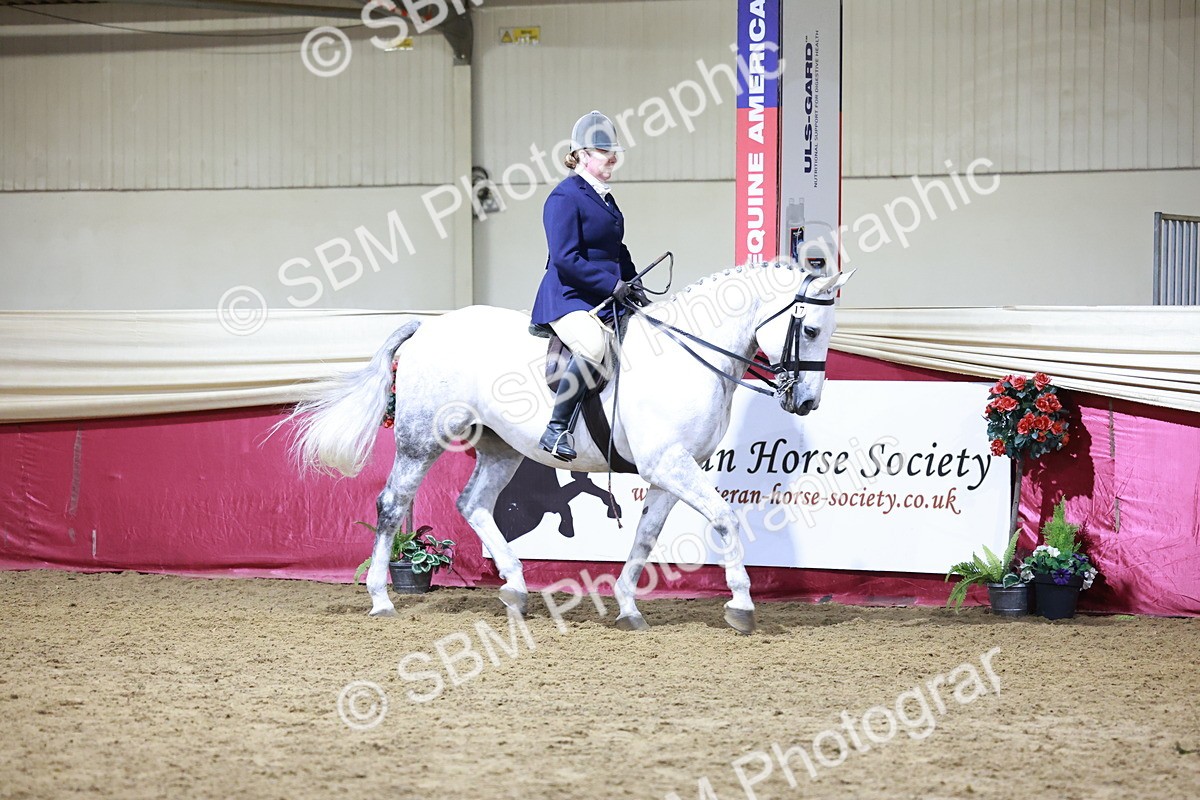 SBM_21122 - class Q - Ridden Horse Champ