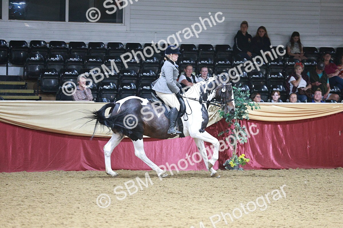 SBM_09090 - Class 12R - Regional Ridden Pre-Vet