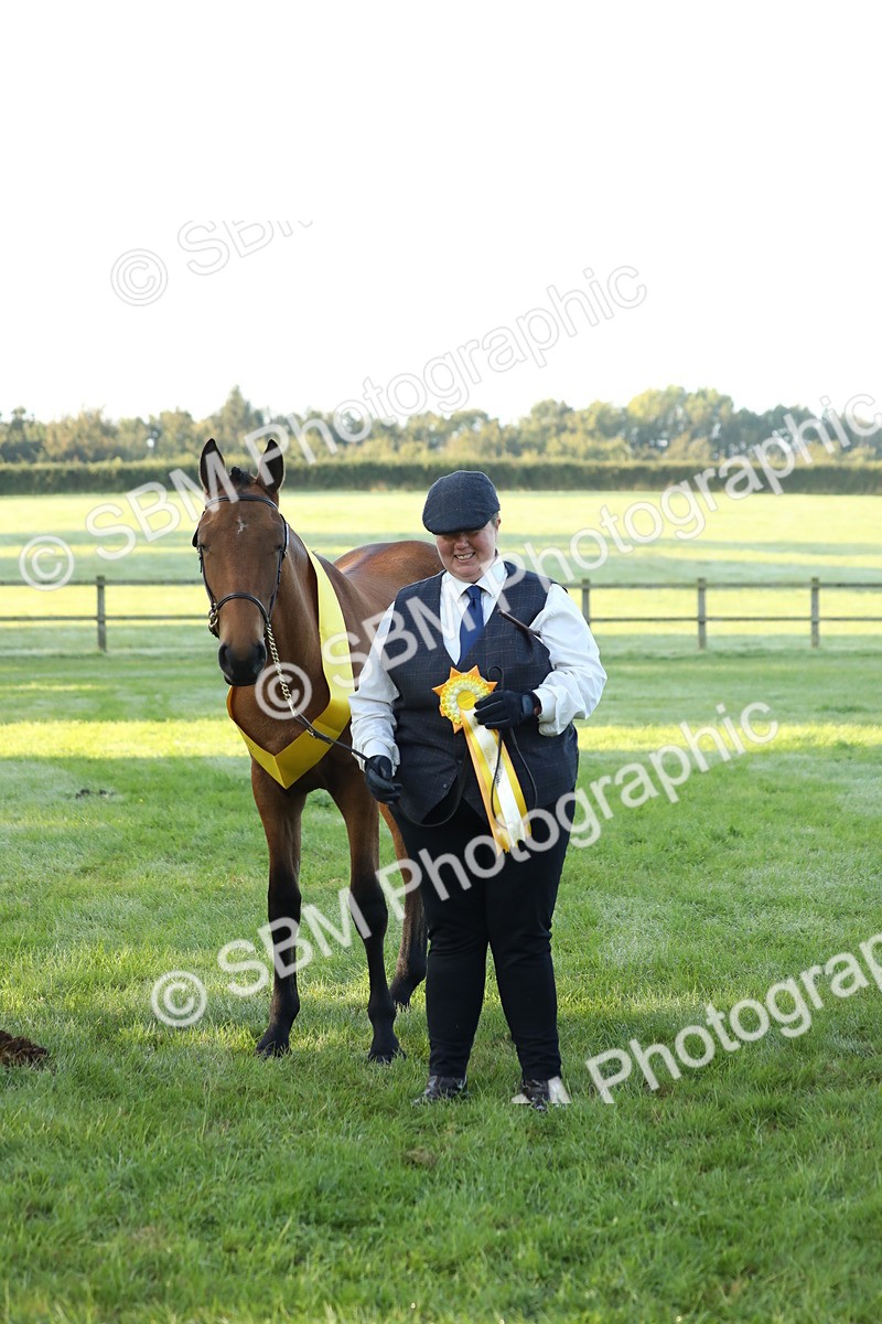 SBM_57864 - S42 - Youngstock