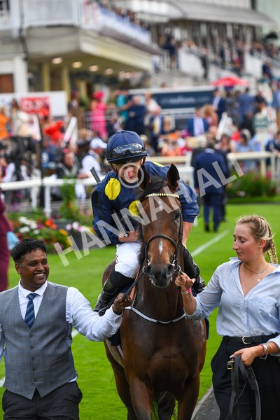 240823-Race 5-Sea Theme-0638 - Race 5 4.10pm British EBF & Sir Henry Cecil Galtres Stakes