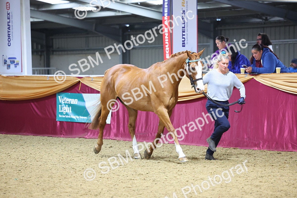 SBM_20994 - Class 902 - Supreme Final IH Veteran