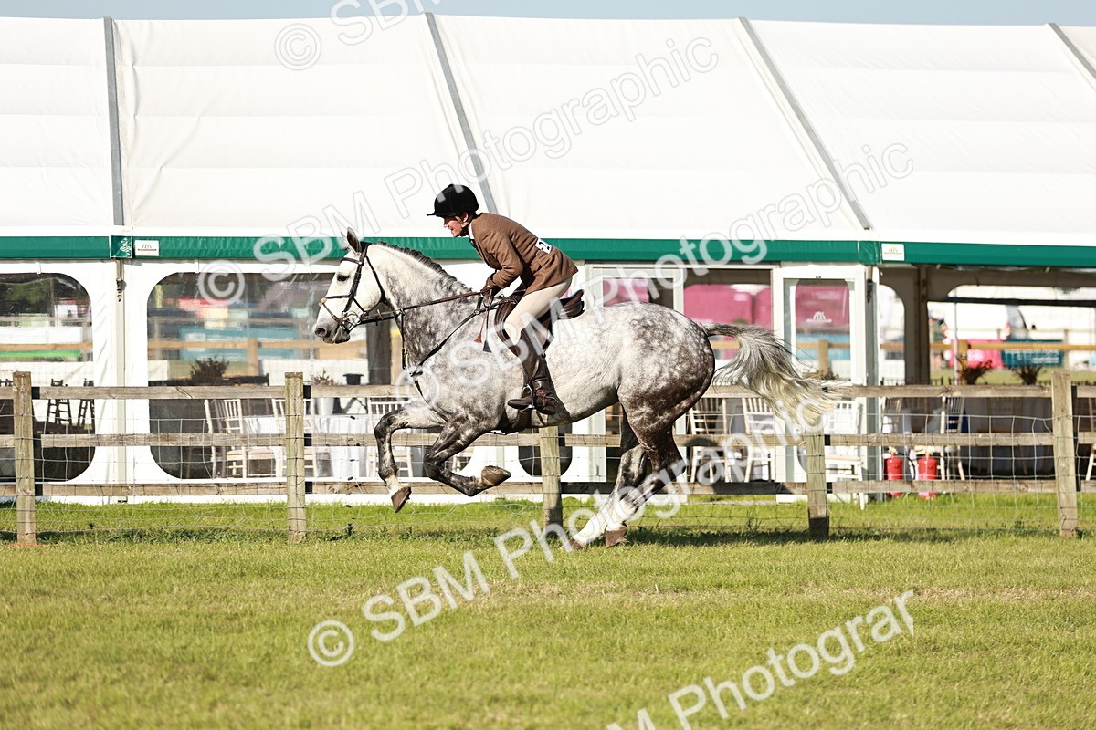 SBM_20004 - Class 115-116 - LIHS BSHA Rising Star Working Hunter & Show Horse