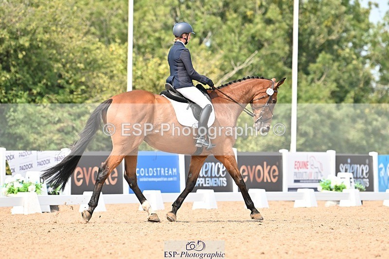 250816-134716-04764 - 117-Sophie.HawkeENORMOUSE