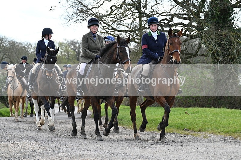 WJ7_9831 - Walk Home