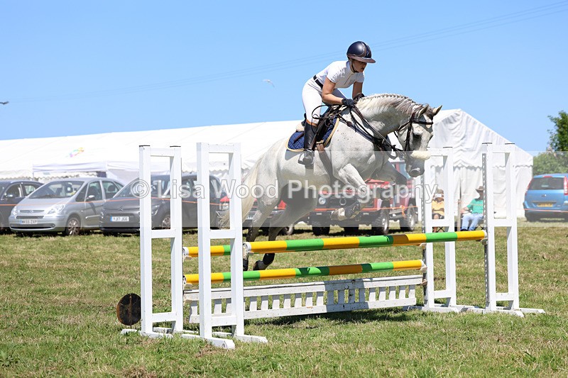 3E7A5465 - Class 9: Senior British Novice/90cm open
