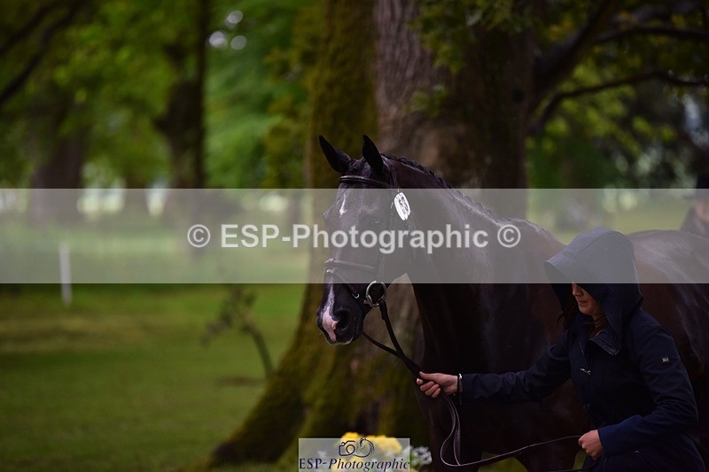 240522-152606-00337 - 353-BIKINI-Rose_De_Montmorency