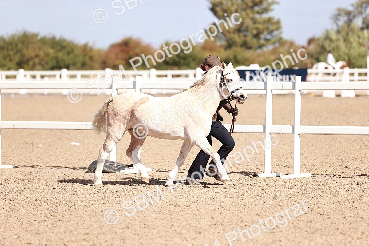 SBM_22876 - Class 706 - IH Veteran