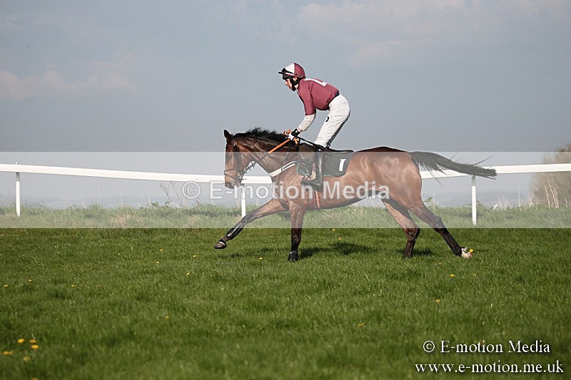 PtP 210418 584 - South & West Wilts Point-to-Point Larkhill 21/04/18