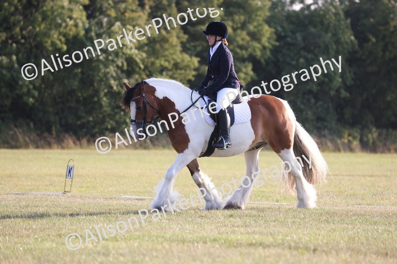 20250731-0799 - Class 1 - Intro 4