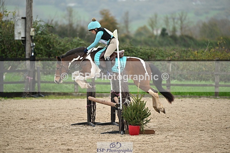 241110-140237-01016 - 60-65cm Arena Eventing