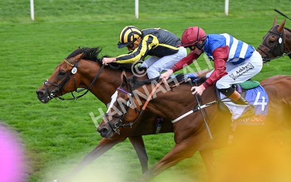 220825-020 Asgards Captain - Race 1 1.50pm Sky Bet Handicap