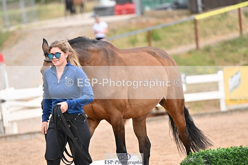 250716-151845-01862 - Trot Up 2.30 to 3.30