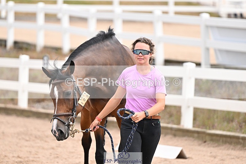 250716-151054-01726 - Trot Up 2.30 to 3.30