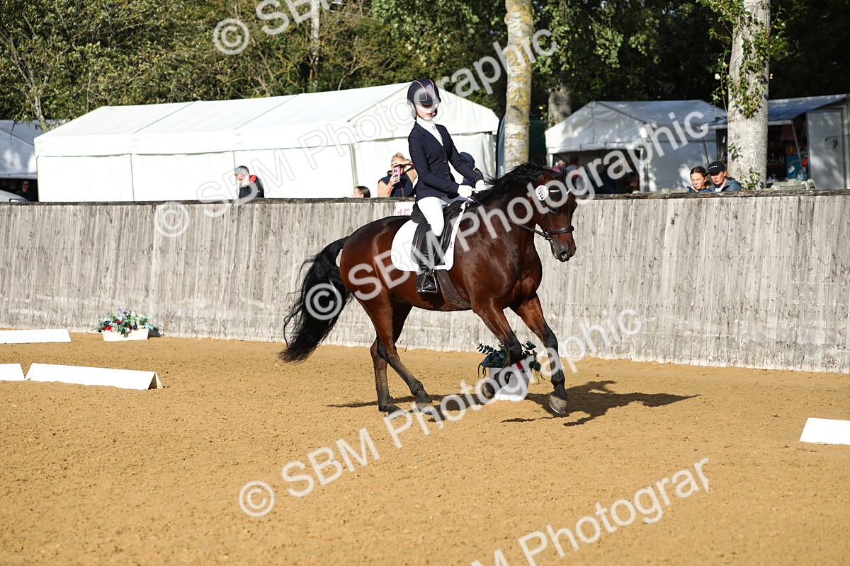 SBM_52613 - D23 - Junior Championship Prelim 1