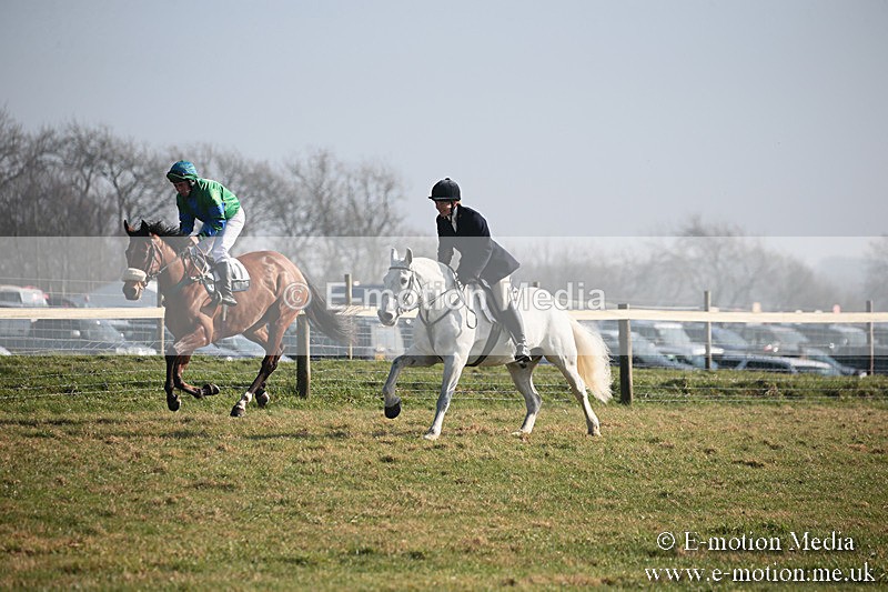 PtP 230219 121 - Vine & Craven Point-To-Point - Barbury 23/02/19