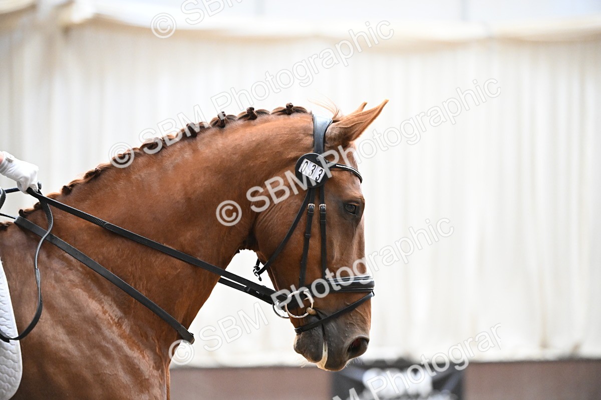 SBM_017107 - Class 3 - N4