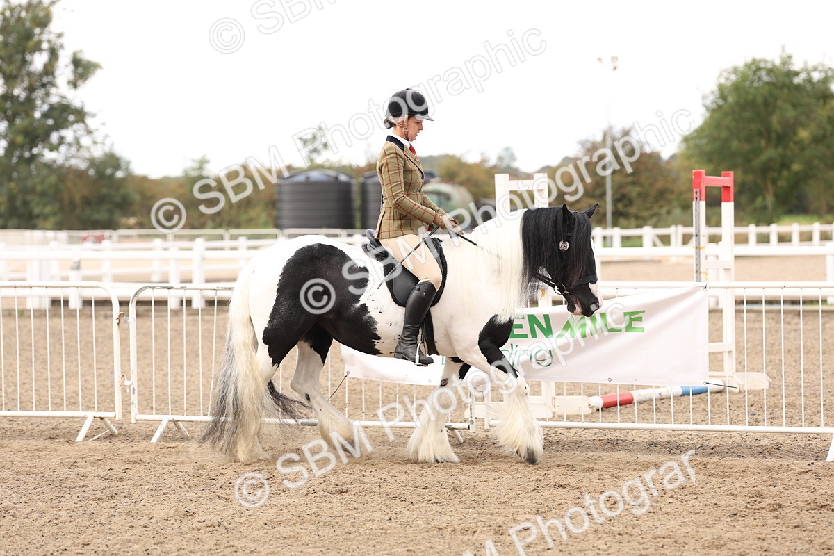 SBM_04241 - Class 54 - Riding Club Horse/Pony