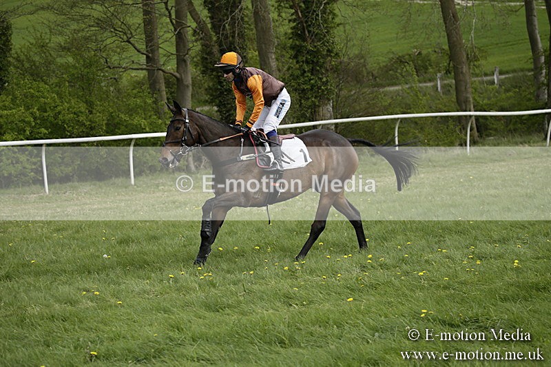 PtP 170417 147 - Old Berks Point-to-Point Lockinge 17/04/17