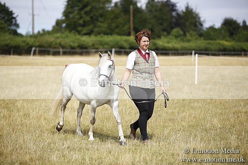 _C7A9674 - BVRC Sow 2018 Ring 2