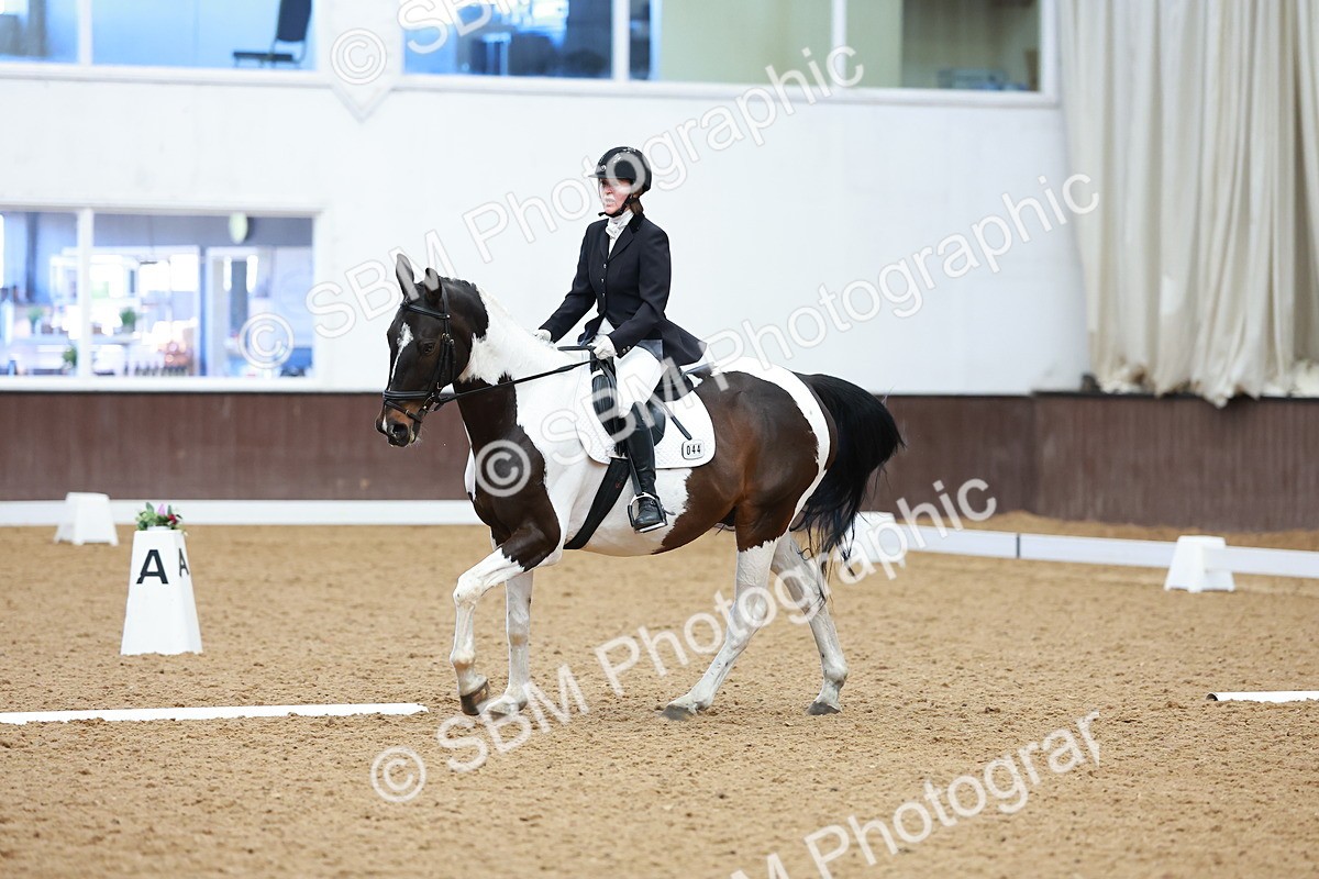 SBM_002989 - Class 14 - Novice 2