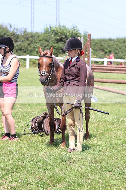 JPP_2835 - Class 21: Working Hunter 60cm