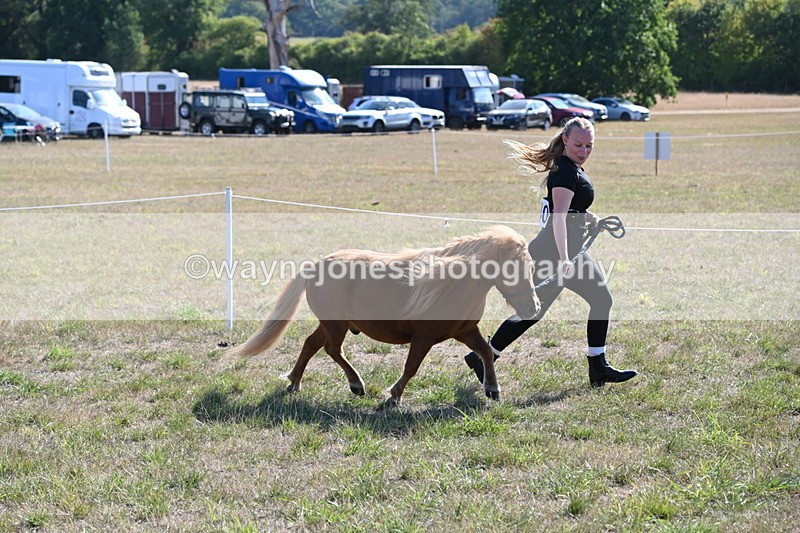 WJ6_7280 - Class 33 Rescue Pony