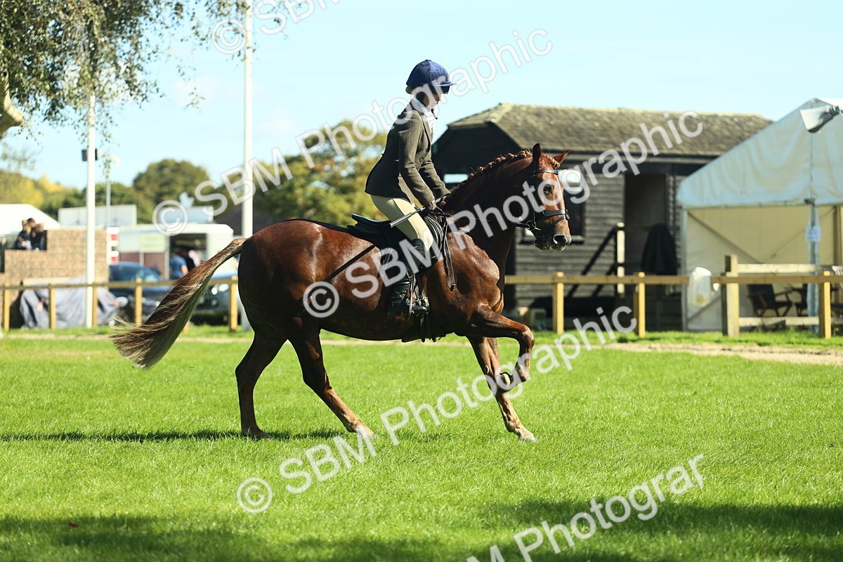 SBM_39154 - S29 - Novice & Newcomers Working Hunter Pony