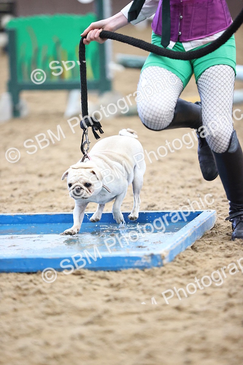 SBM_001654 - Class 3 - Horse & Hound 60cm