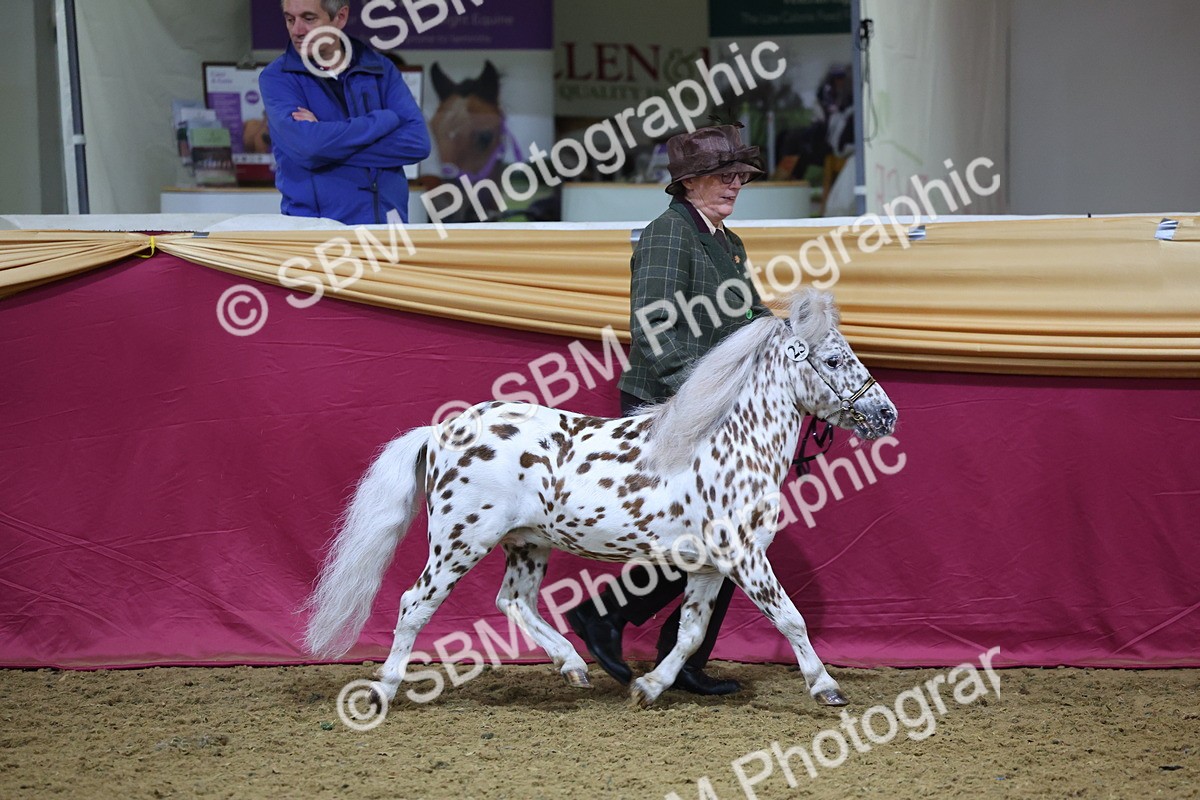SBM_20801 - Class 902 - Supreme Final IH Veteran