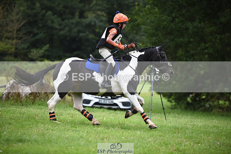 240804-144038-14817 - 555-Jack_Wish-WESTERLAKE_BUTTONWEED