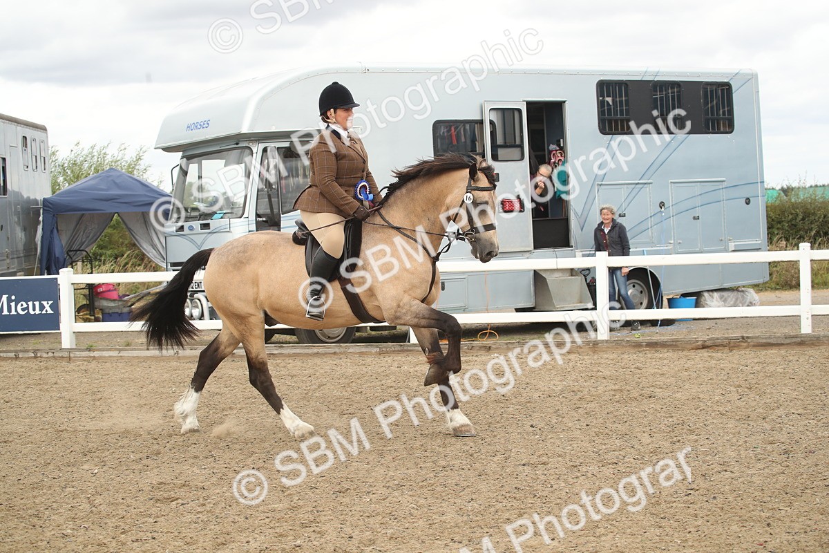 SBM_16717 - Class 507a - Working Veteran - 60cm (15-19)