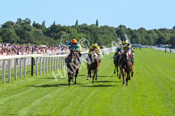 120725-Race 5-Amazing Journey-5884 - Race 5 4.15pm John Smith's Nursery Handicap