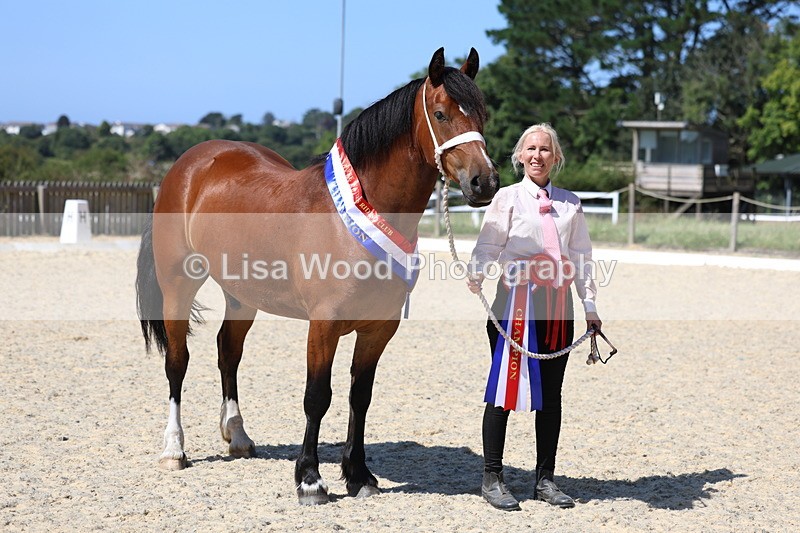 3E7A9959 - In Hand Championship