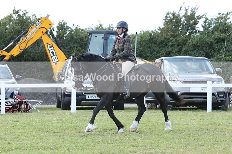 JPP_2354 - Class 19: Working Hunter 60cm