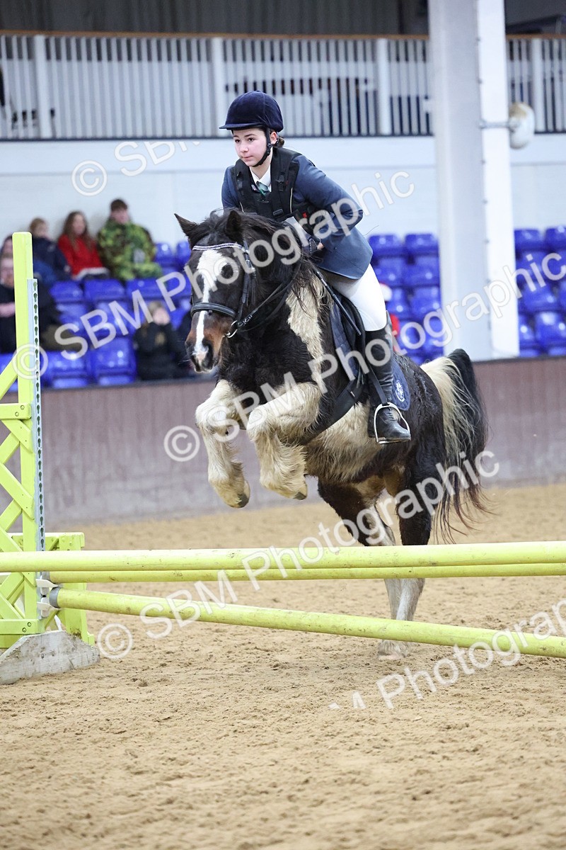 SBM_001180 - Class 3 - Christmas Tree Stakes - 60cm