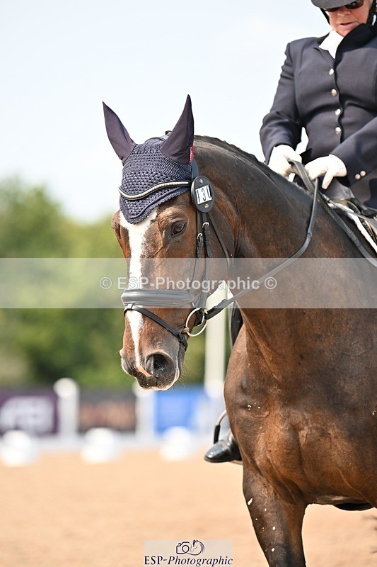 250816-150930-05777 - 130-Donna.BoydVagebond.vd.Withoeve.Z