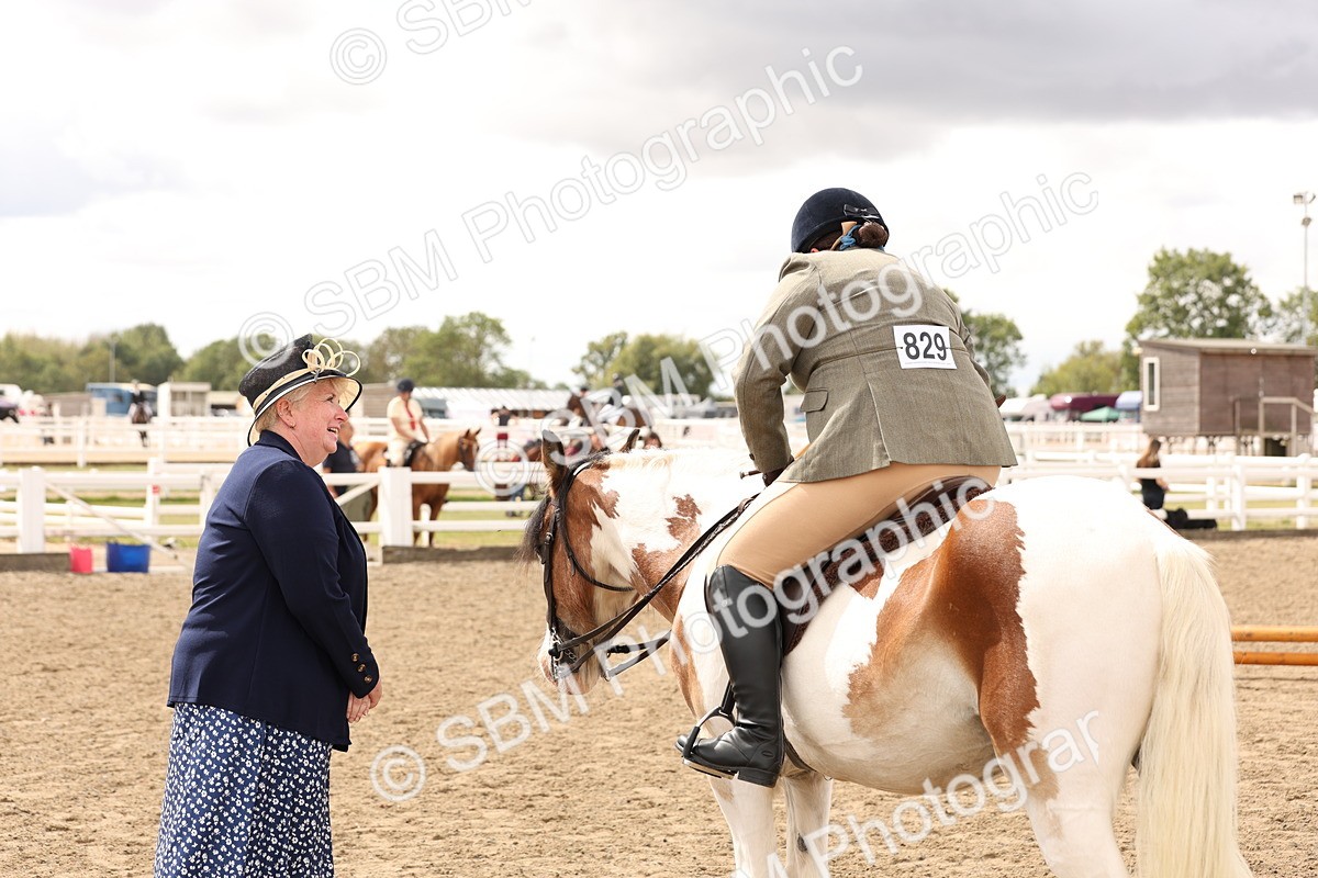 SBM_05196 - Class 56b -  Style & Performance - 50cm (20+)