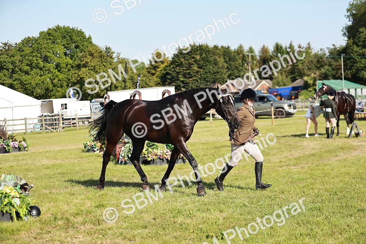 SBM_19298 - Class 115-116 - LIHS BSHA Rising Star Working Hunter & Show Horse