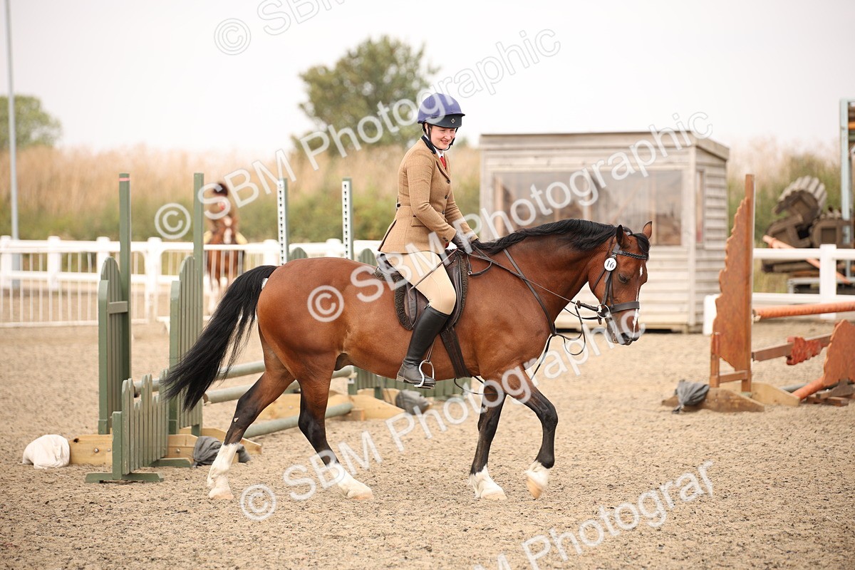 SBM_12273 - Class 405a - M&M Working Veteran 50cm (15-19)