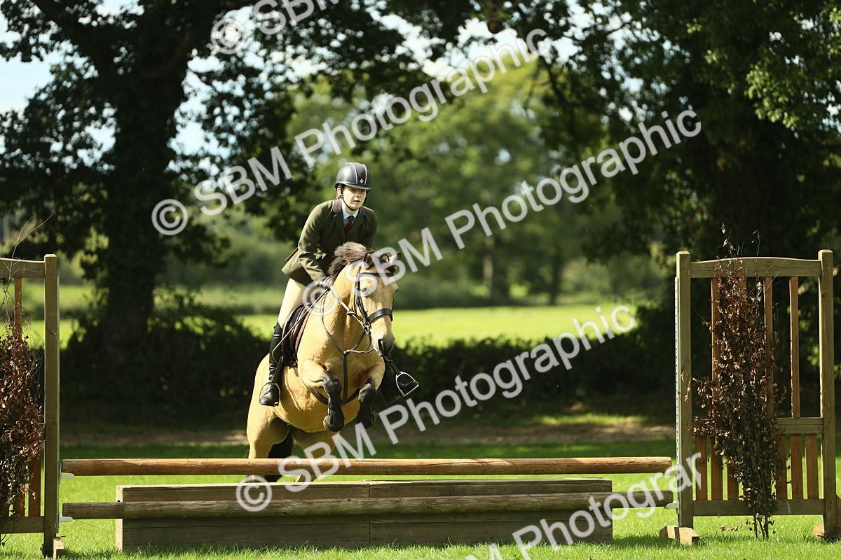 SBM_42856 - S30 - M&M Working hunter Pony