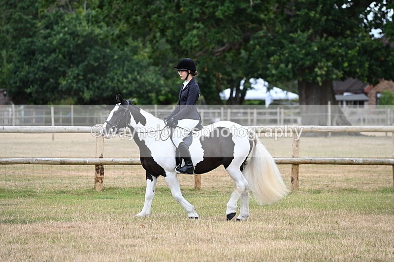 WJ6_3792 - Class 9 Tack & Turnout