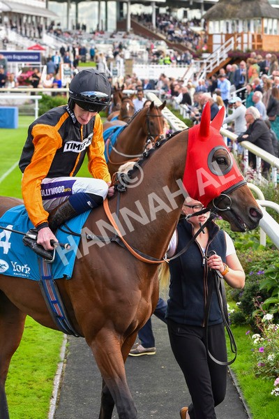 230923-Race 4-Aphelios-6350 - Race 4 3.45pm Jigsaw Sports Branding Handicap