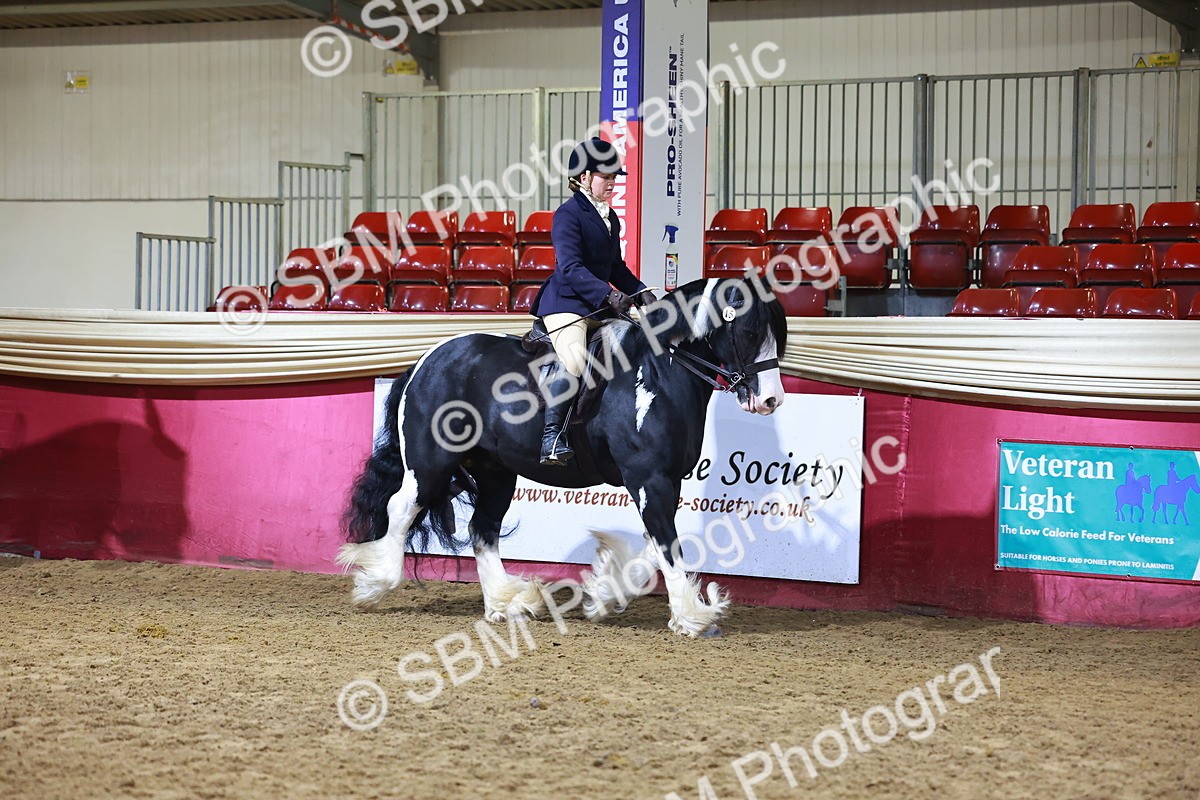 SBM_15392 - Class Q - Ridden Horse Champ