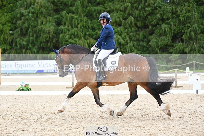 230813-142731-07768 - Cls 13 Medium Bronze 13.15 to End