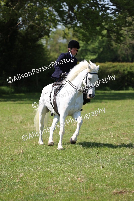 20250427-2556 - Class 20 - Working Hunter Ponies
