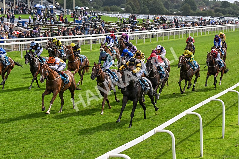 060926-Race 2-Oriental Prince-0112 - Race 2 2.05pm Fine Details Car Valeting Sprint Handicap