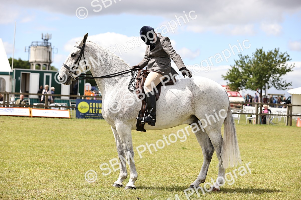SBM_14698 - Class 88-89 - LIHS BSHA Rising Star of Ridden Hunter Type